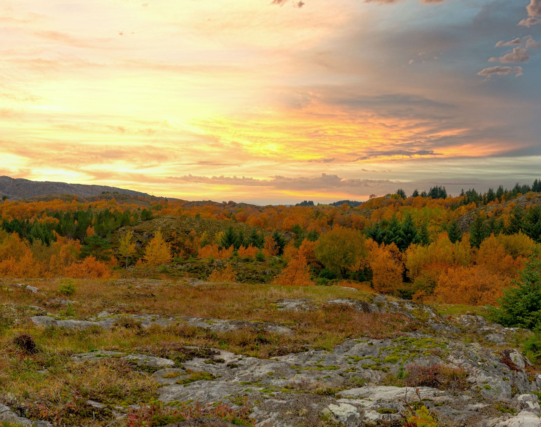 Bootshaus, Norway