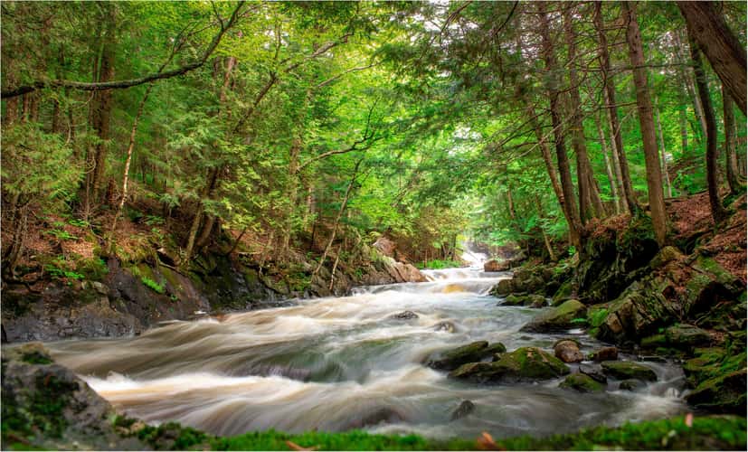Brooks Falls