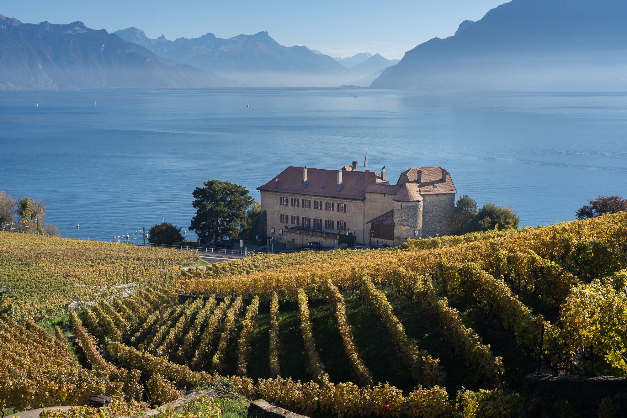 Clos des Moines, Switzerland