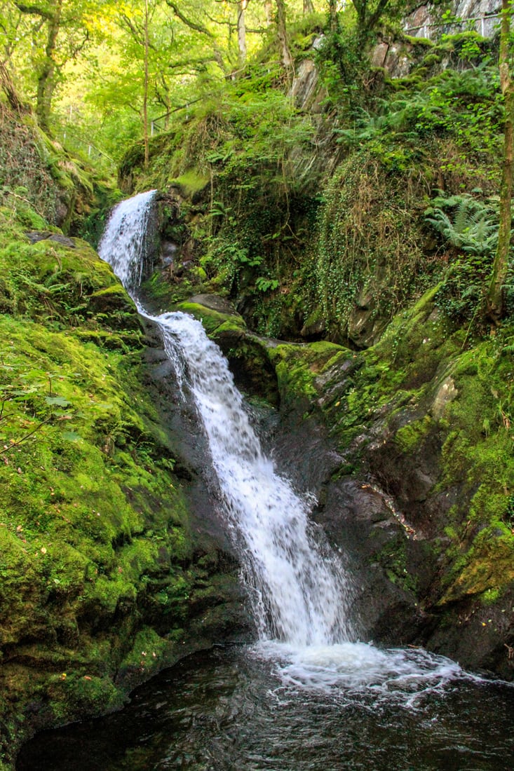 Dolgoch Falls, United Kingdom