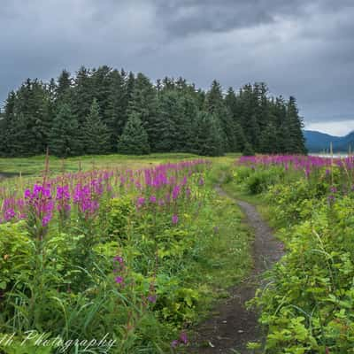 Fish Creek Park, USA