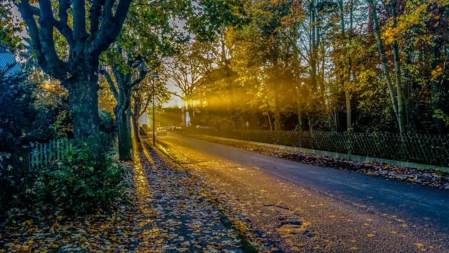 Good Morning Sun