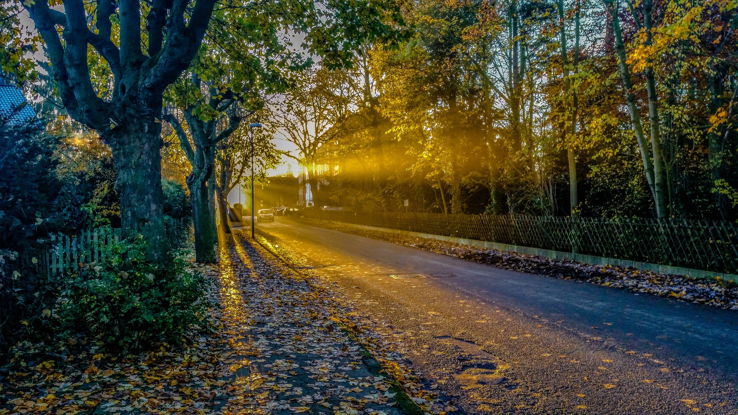 Good Morning Sun, Germany