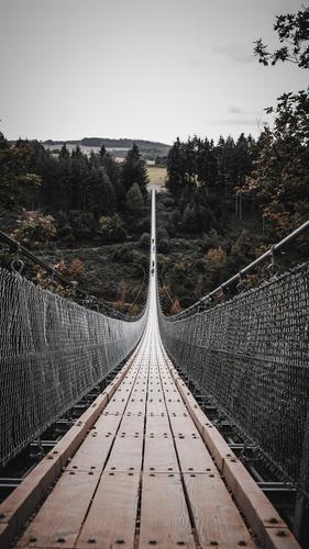 Hängeseilbrücke Geierlay