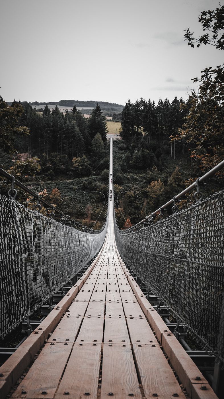 Hängeseilbrücke Geierlay, Germany