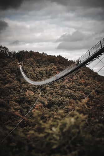 Hängeseilbrücke Geierlay