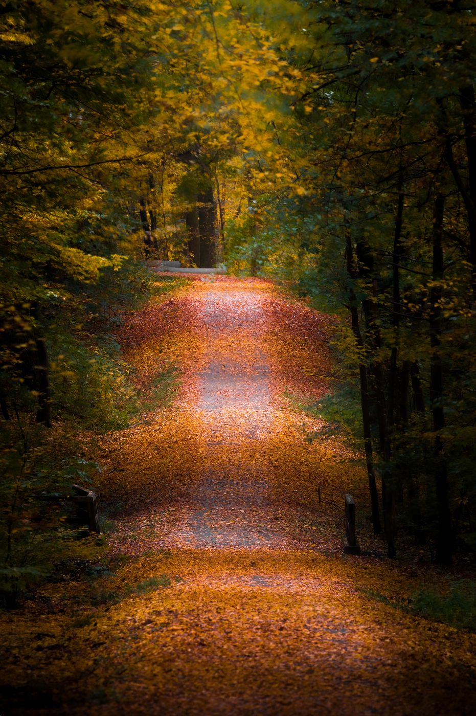 Hochringtunnel, Germany