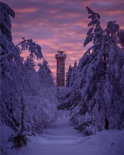 Hohloh Tower, Kaltenbronn