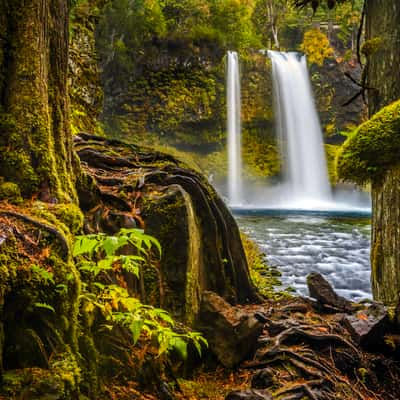 Koosah Falls, USA