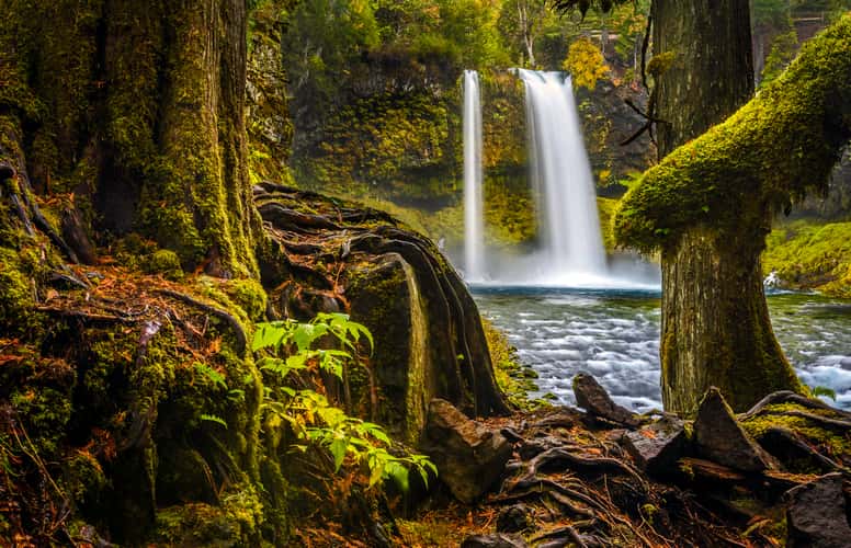 Koosah Falls