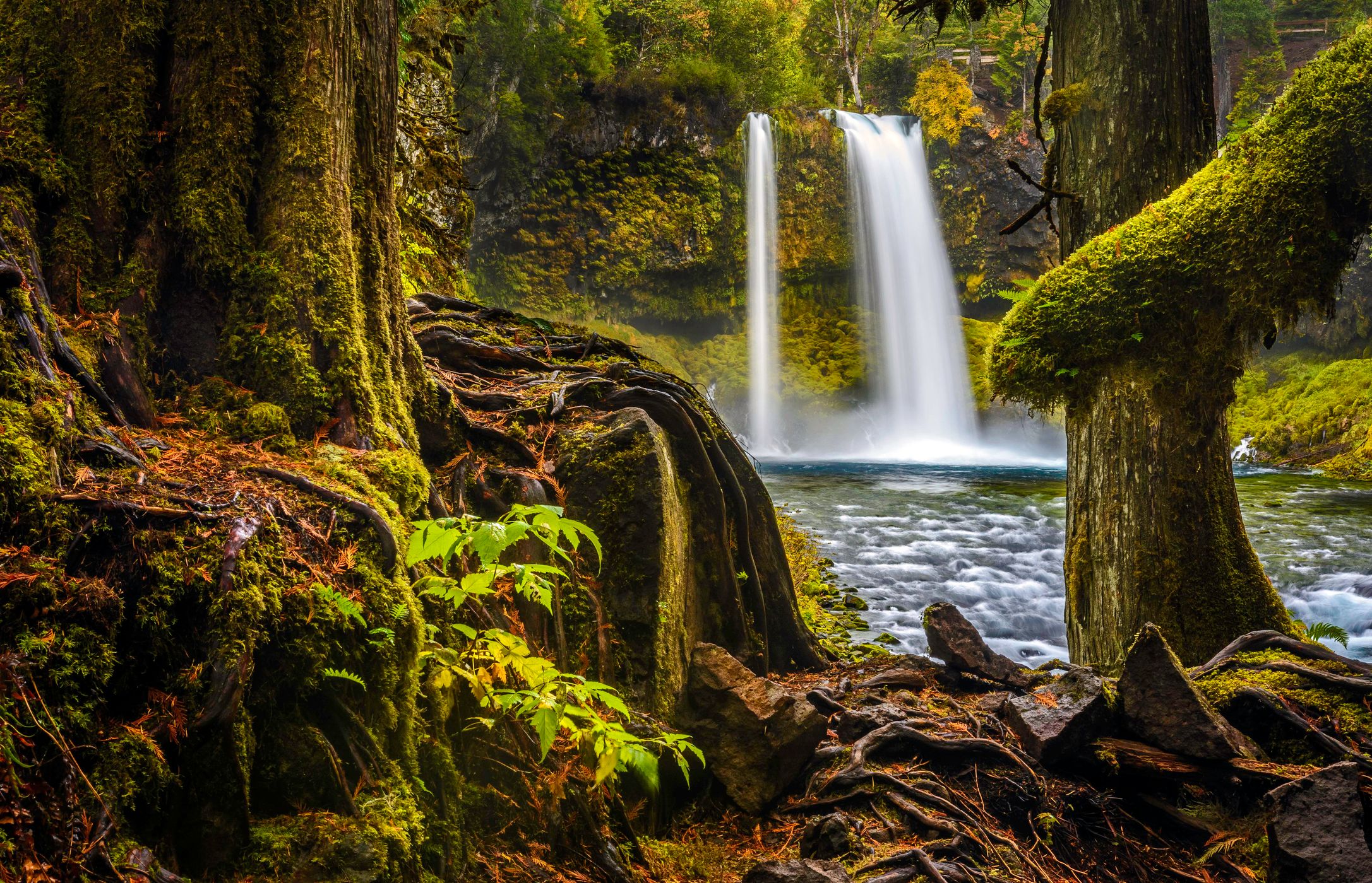 Koosah Falls, USA