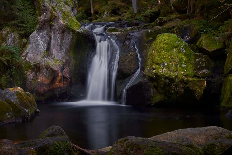 Krai Woog Gumpen, Black Forest