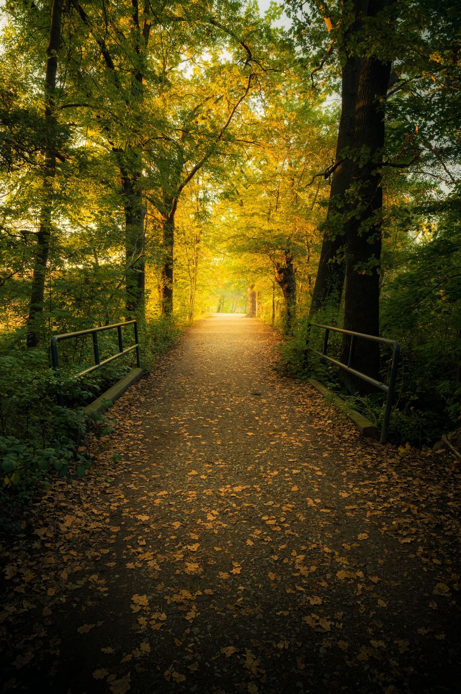 Kreuzteich, Germany