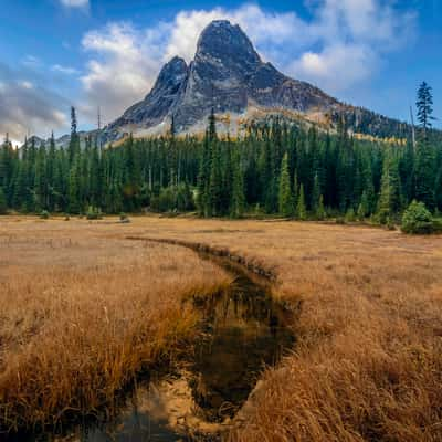 Liberty Bell Meadow, USA