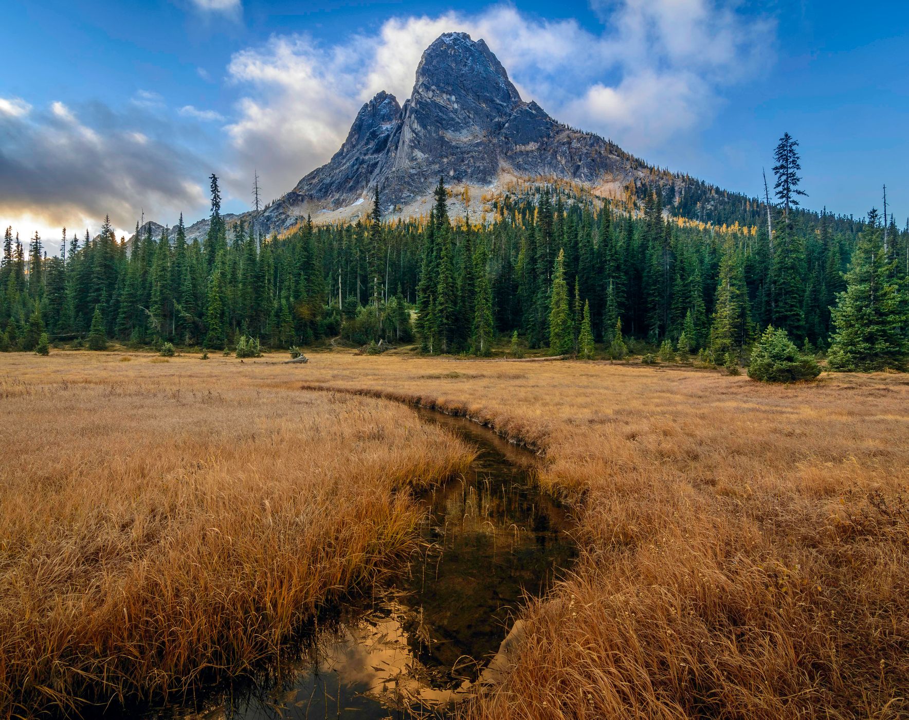 Liberty Bell Meadow, USA