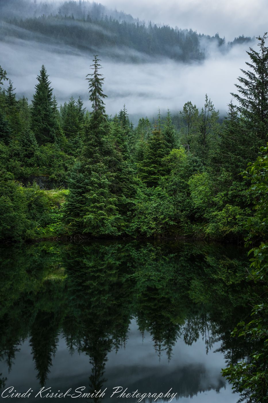 Mendenhall Glacier Park, USA