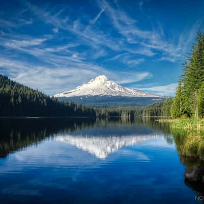 Mount Hood from Trillium Lake, USA