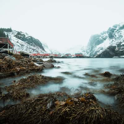 Nusfjord, Lofoten, Norway