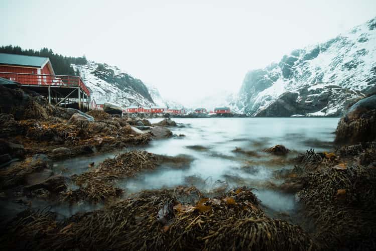 Nusfjord, Lofoten