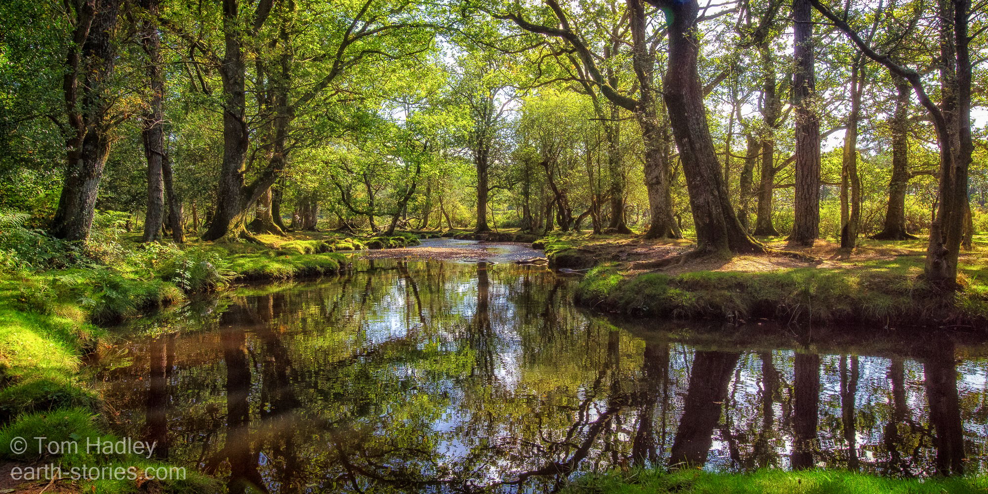 Ober Water at Aldridge Hill, United Kingdom