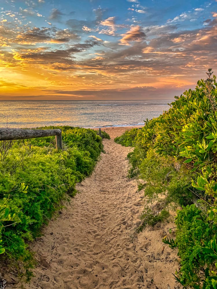 Path to the beach sunrise The Basin Beach, Mona Vale, Australia