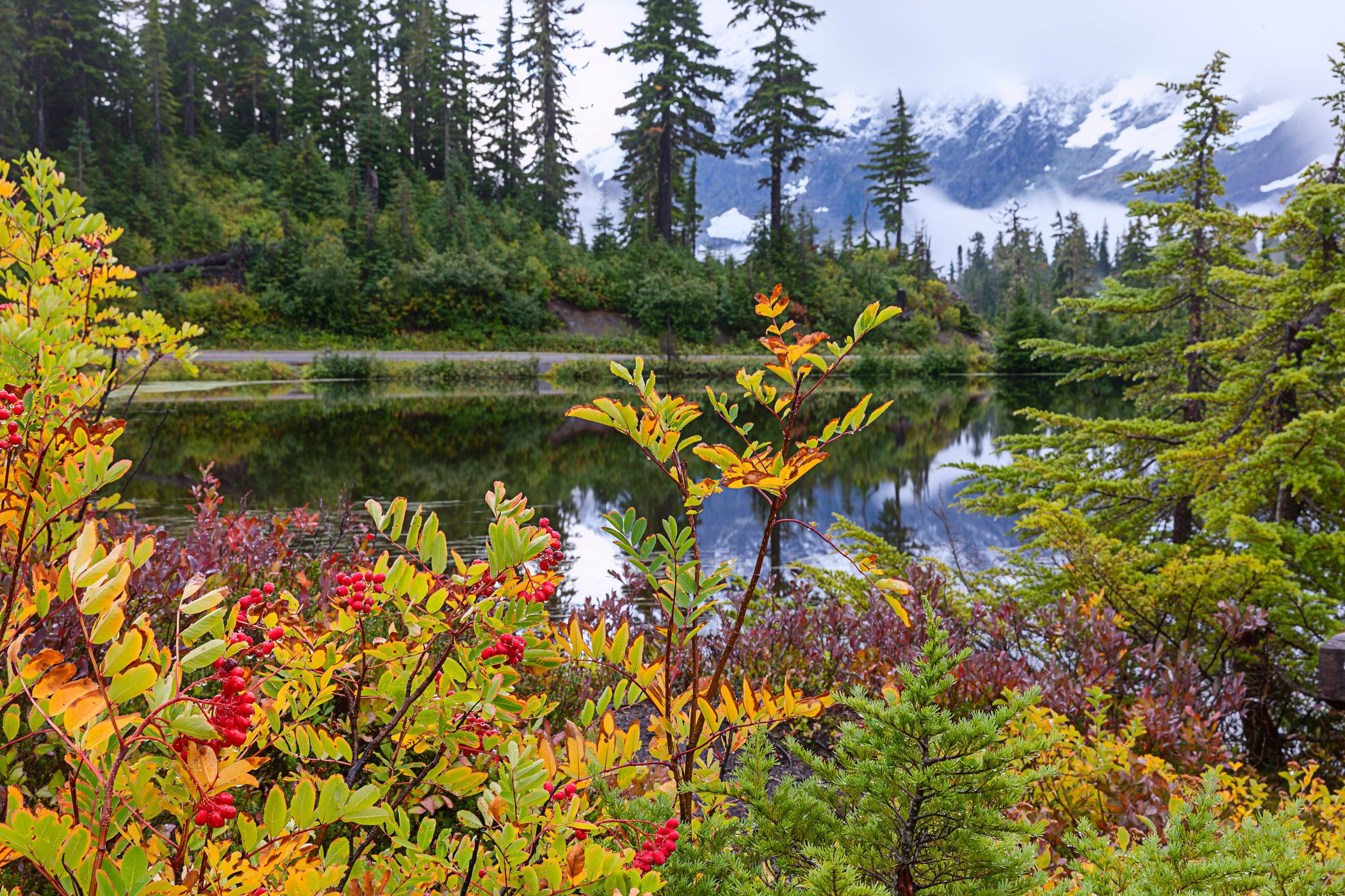 Picture Lake, USA