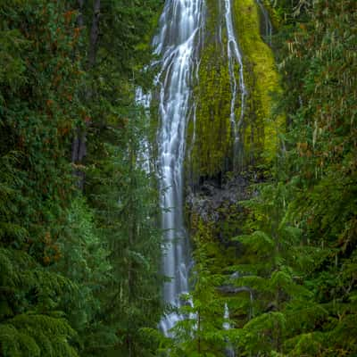 Proxy Falls Trail, USA