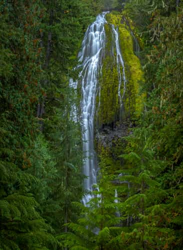 Proxy Falls Trail