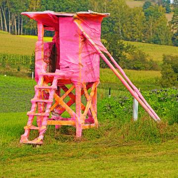 Raised hide in pink, Germany