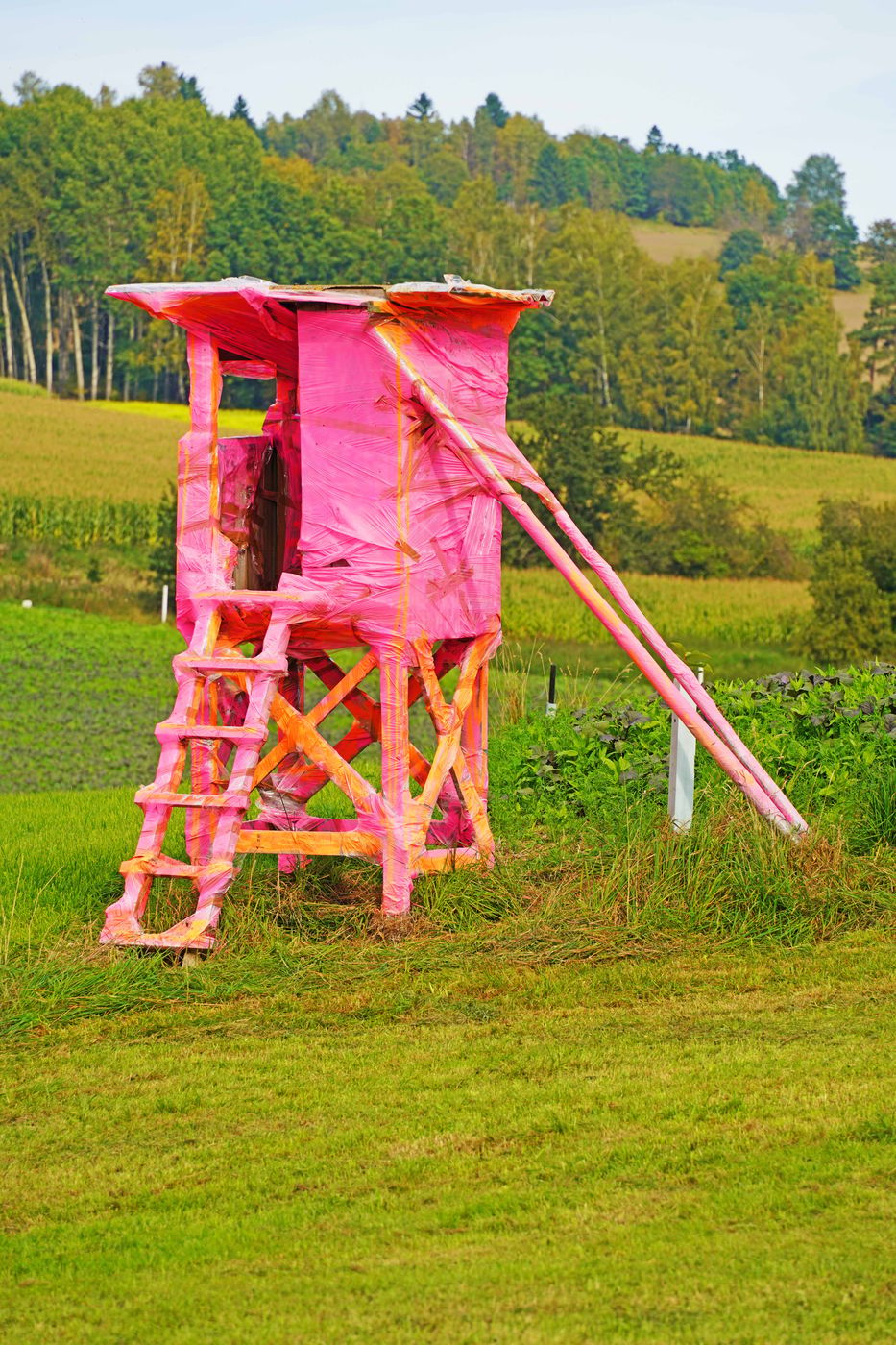 Raised hide in pink, Germany