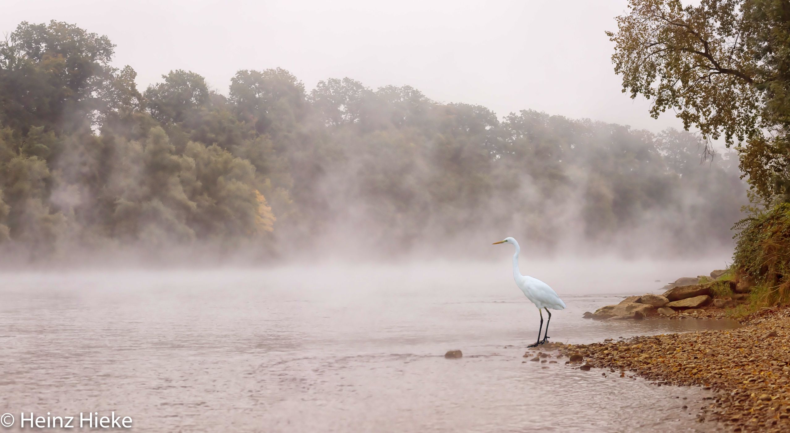 Rhein, Switzerland