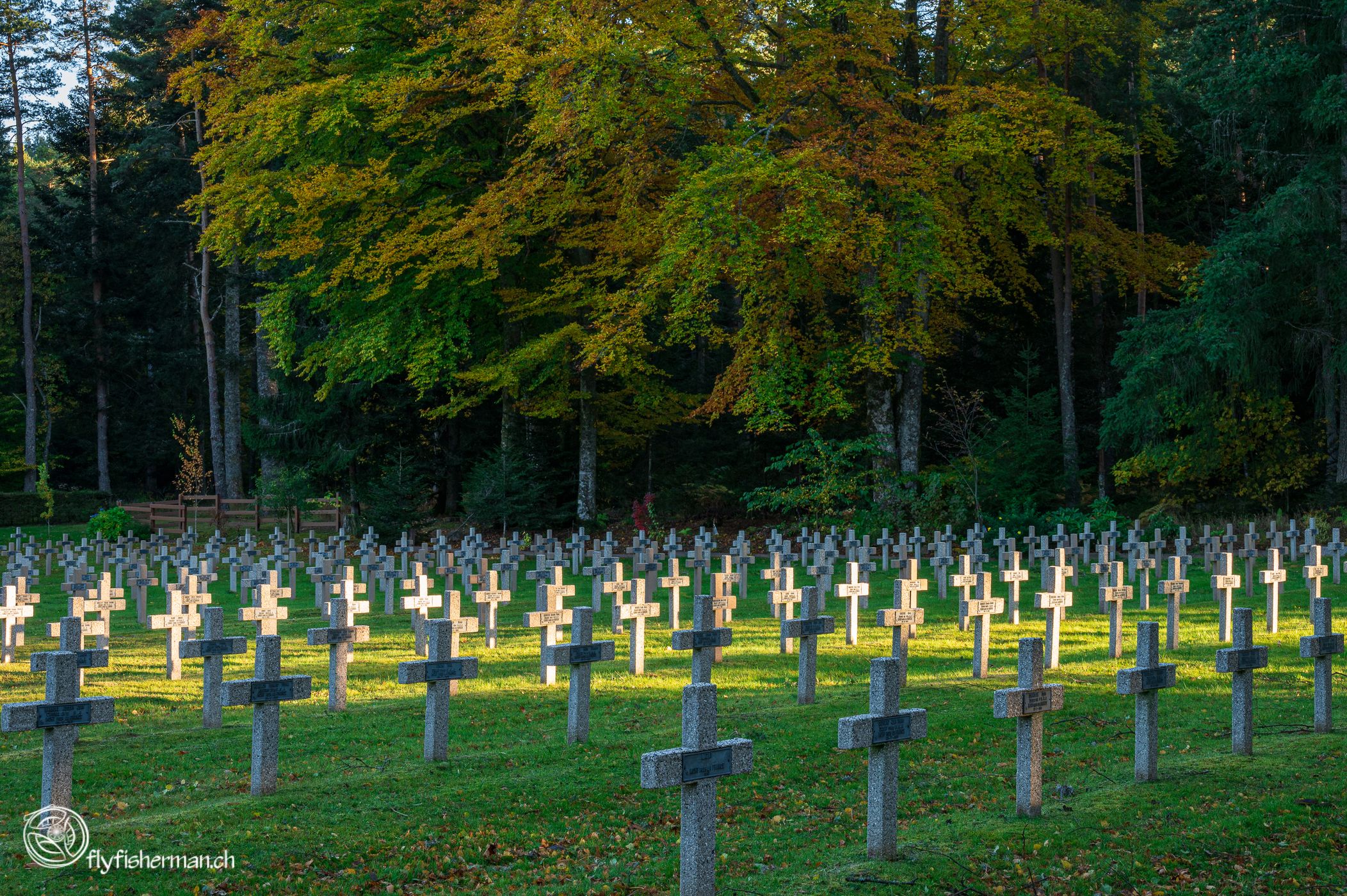 Soldatenfriedhof Col du Wettstein, France