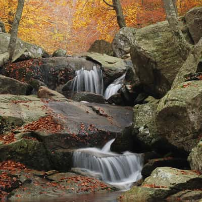 Stream of Santa Fe at the Font de Passavets, Spain