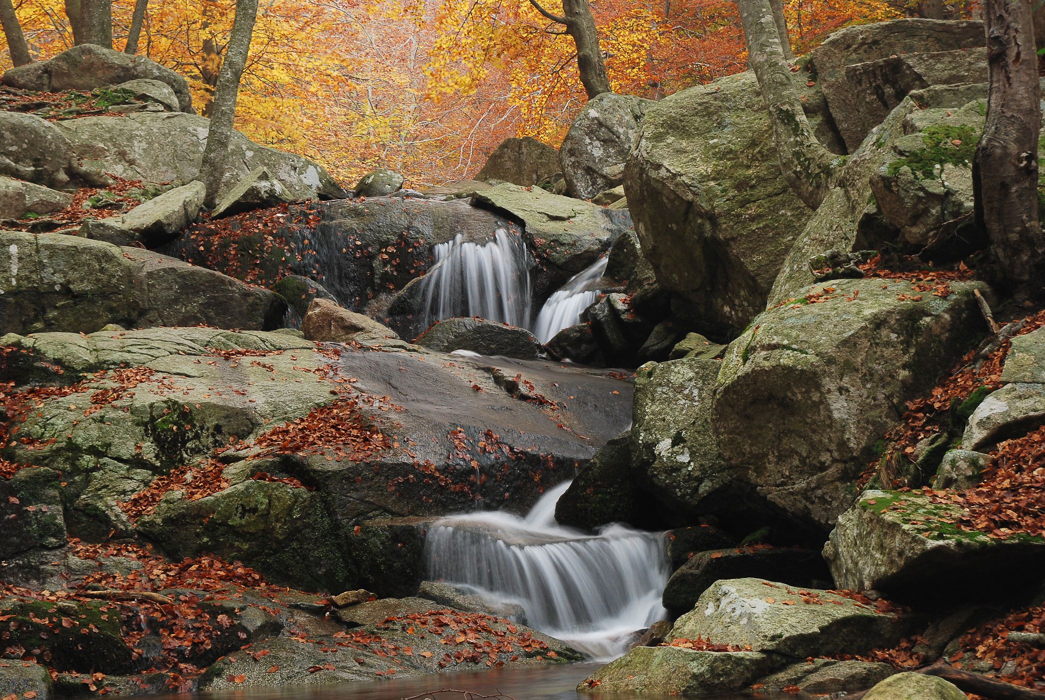 Stream of Santa Fe at the Font de Passavets, Spain