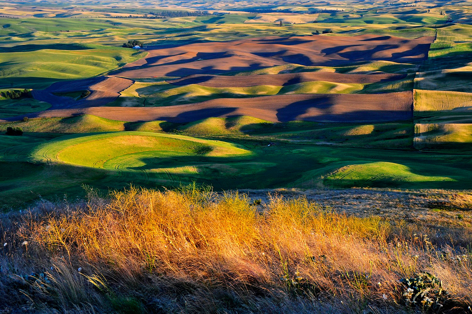 Steptoe Butte, Spokane, WA, USA