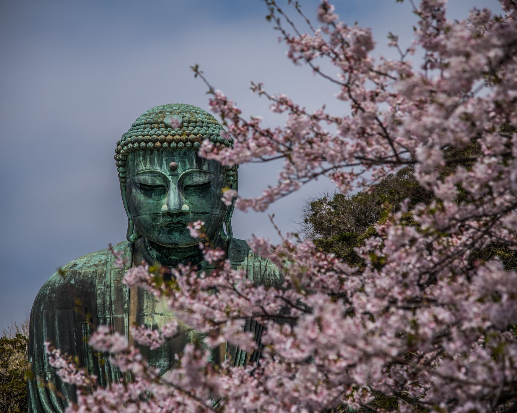 The Great Buddha Of Kamakura, Japan