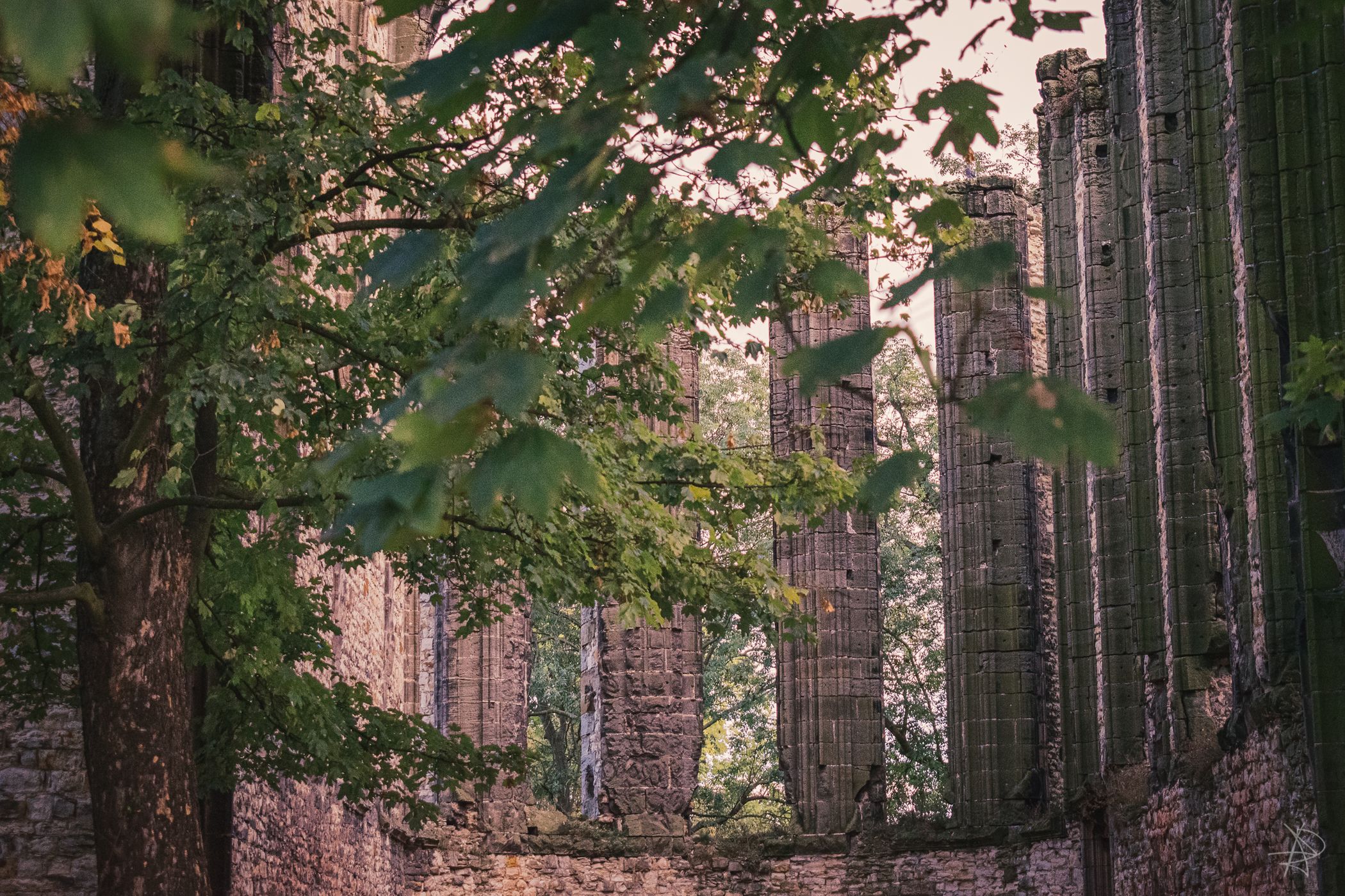 Unfinished Gothic Cathedral, Czech Republic