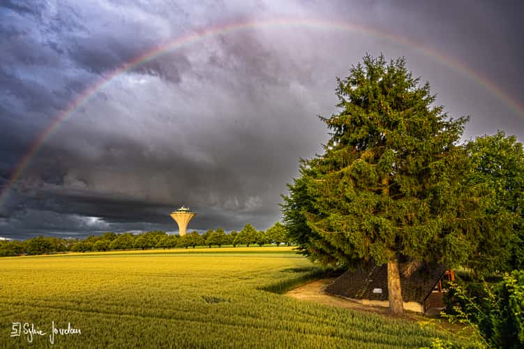Water Tower