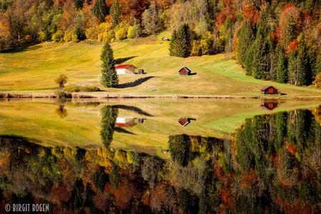 Forest Reflection at Geroldsee, Bavaria