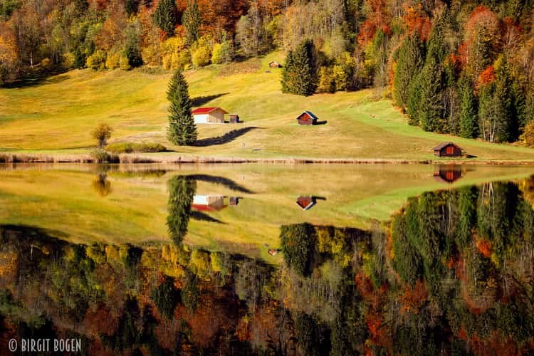 Forest Reflection at Geroldsee, Bavaria