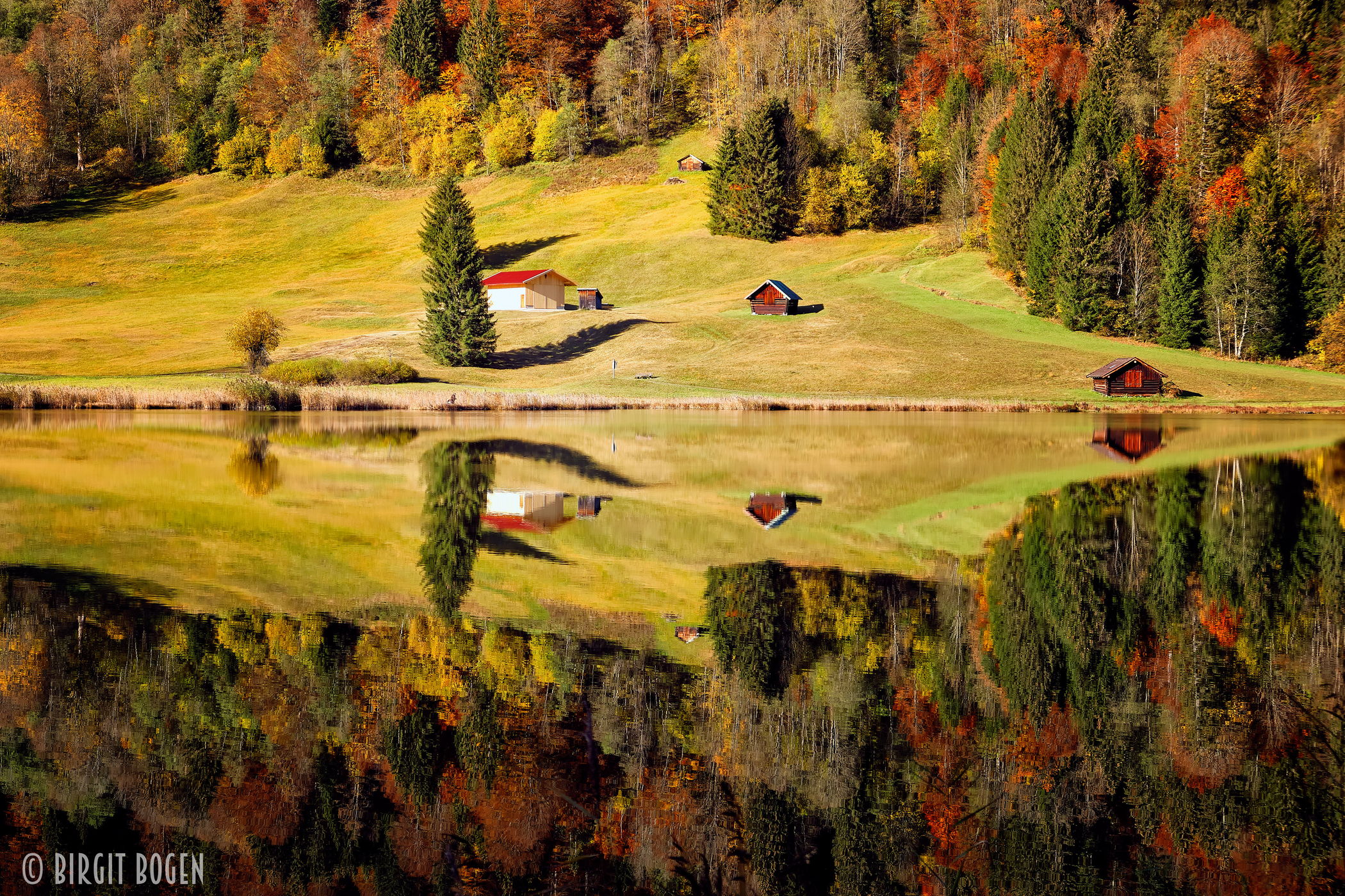 Forest Reflection at Geroldsee, Bavaria, Germany