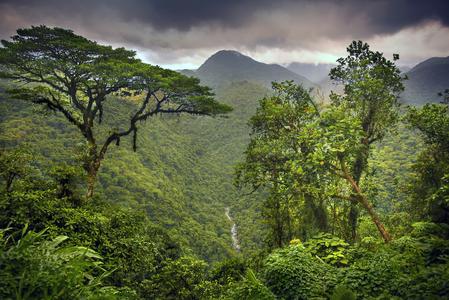 Braulio Carrillo National Park, Costa Rica