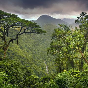 Braulio Carrillo National Park, Costa Rica, Costa Rica