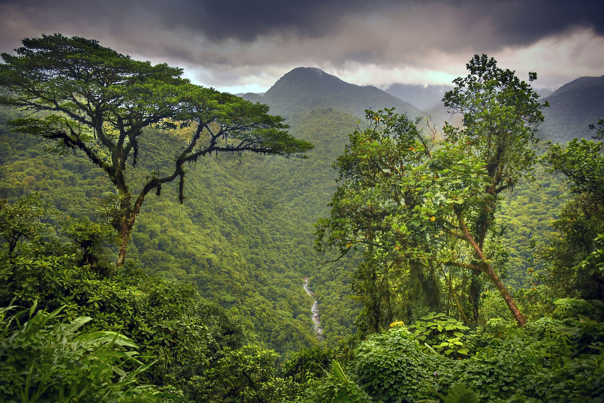 Braulio Carrillo National Park, Costa Rica, Costa Rica