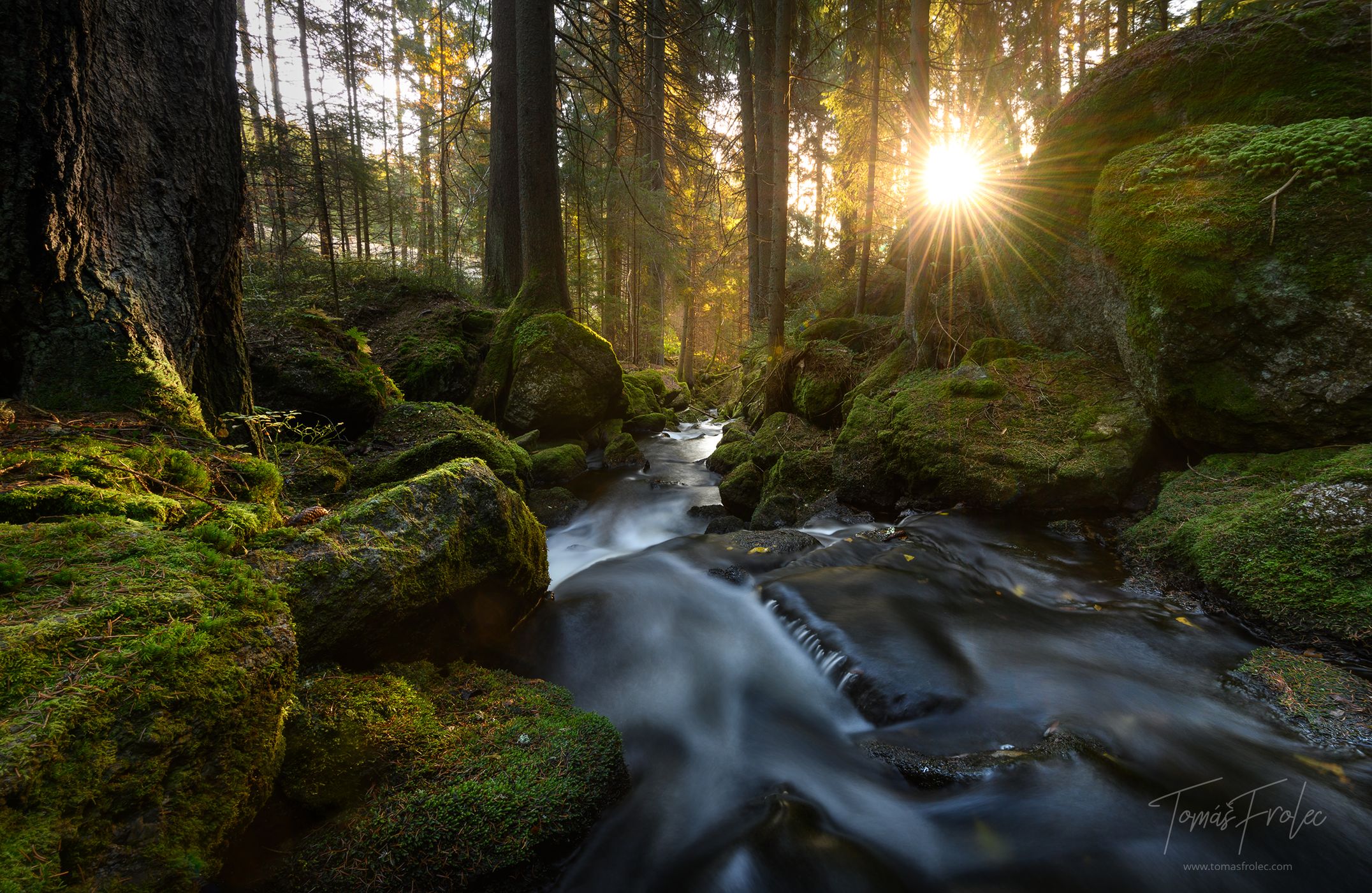 Častá river, Czech Republic