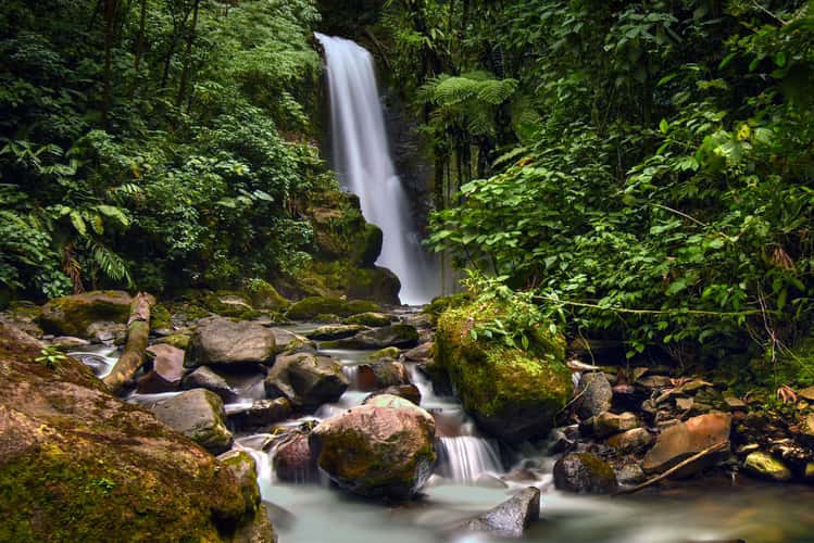 La Paz Waterfall Garden