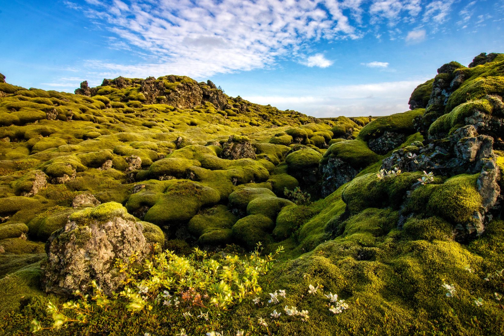 Eldraun Lava Field., Iceland