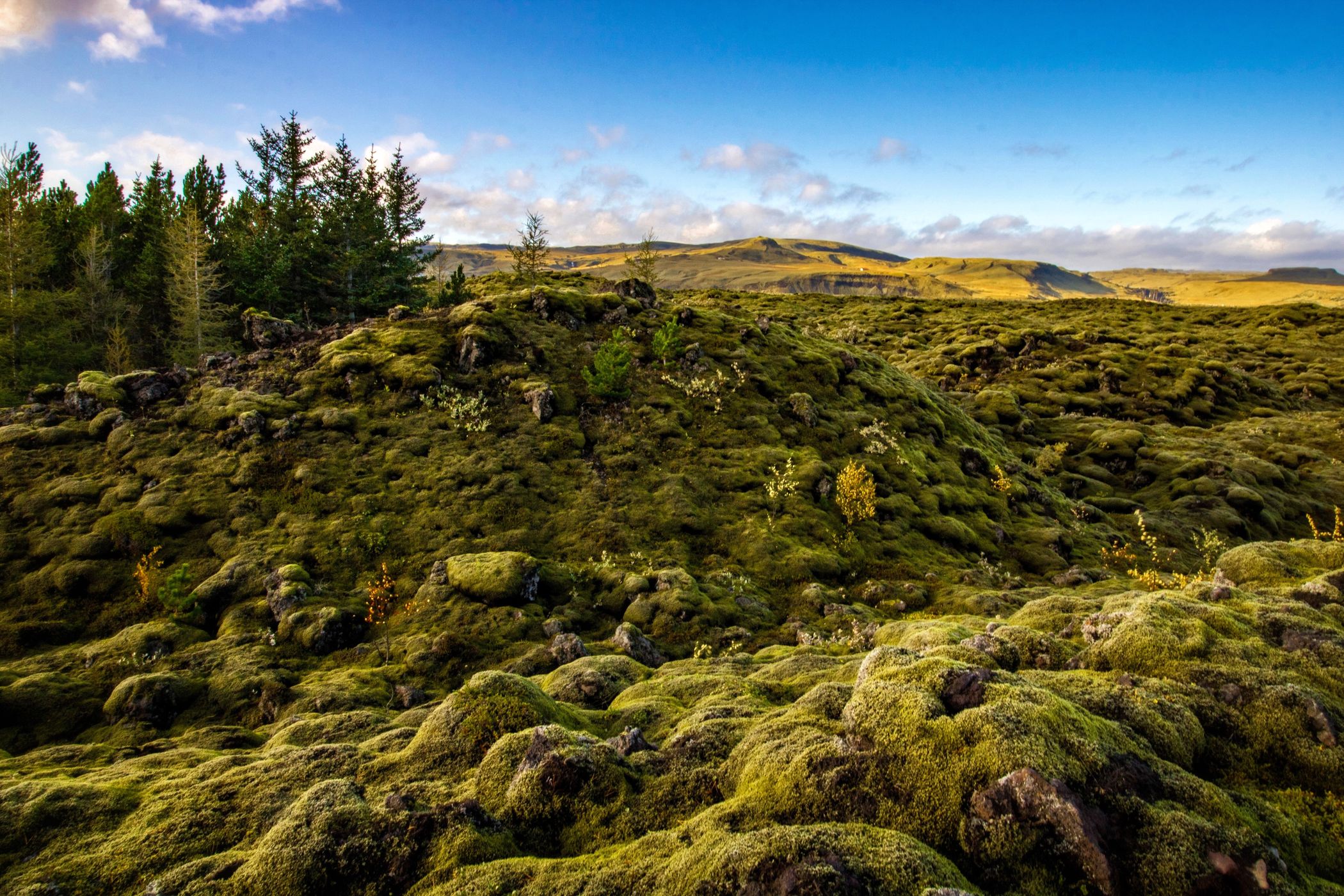 Eldhraun Lava Field, Iceland