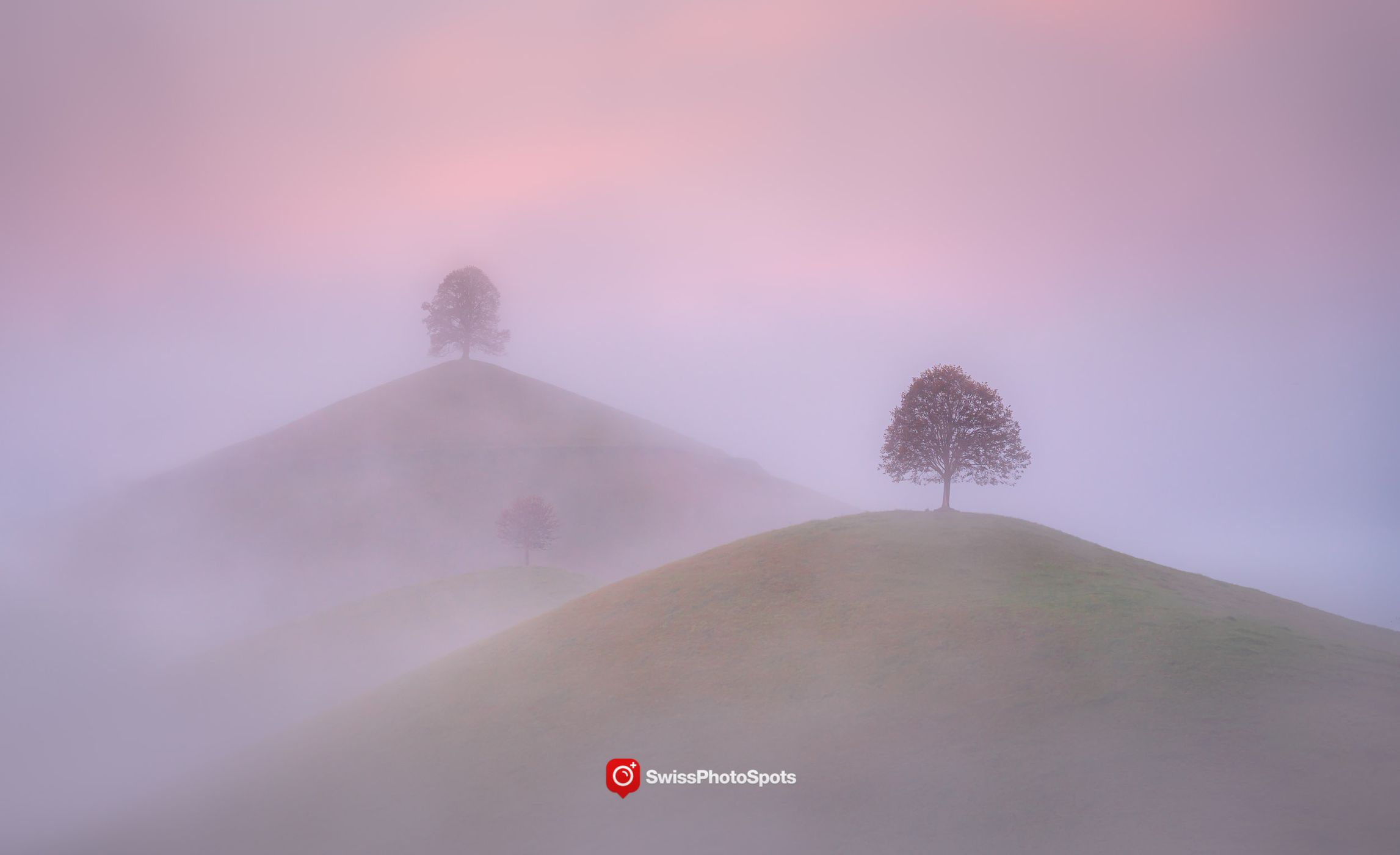 Fairy tale trees, Neuheim, Switzerland