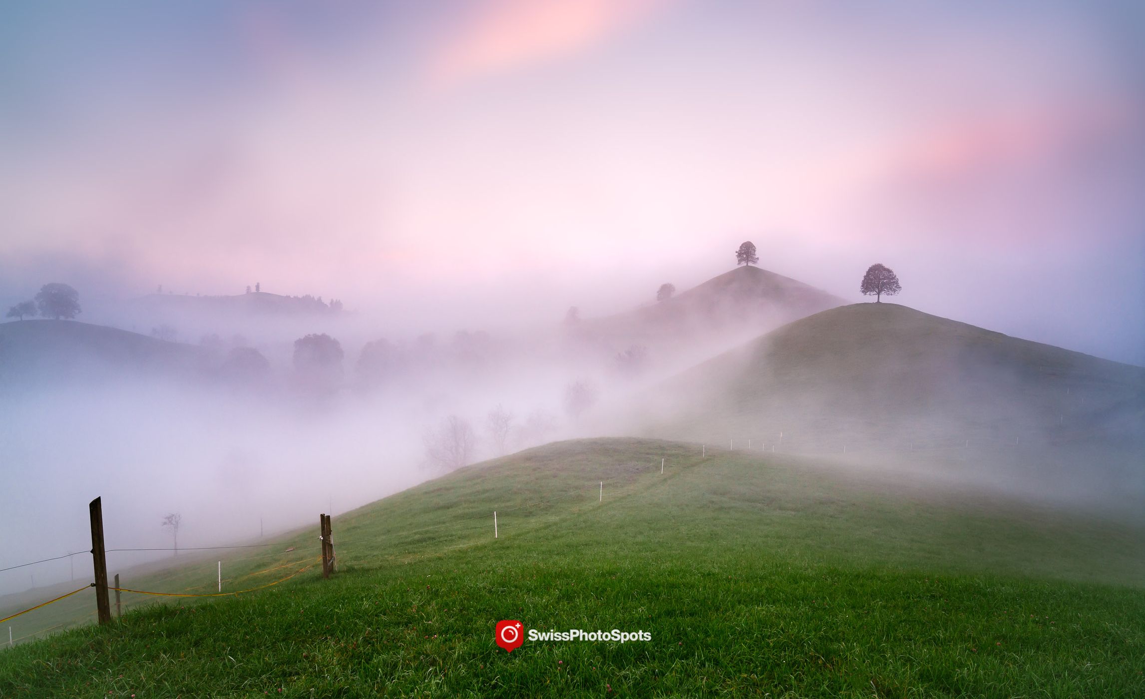 Fairy tale trees, Neuheim, Switzerland